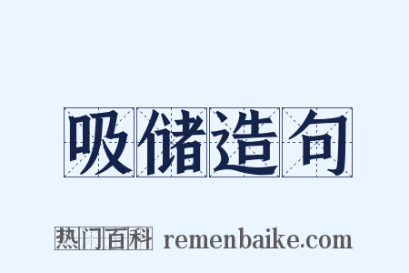 吸储造句是什么意思的图片